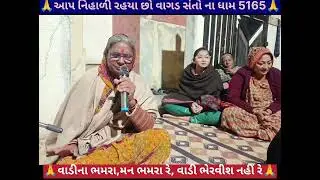 મન ભમરા રે, વાડી ભેરવીશ નહીં રે, દેવી બેન રબારી / સંતવાણી 