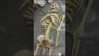 || Human life cycle || #humanlifecycle #youtube #love #viral #tranding #dailouge #life #butiful