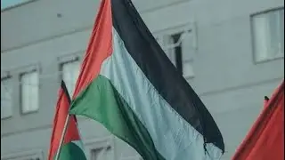 Students Join Gaza Protest Wave #gaza #freepalestine #youtubeshort #shorts