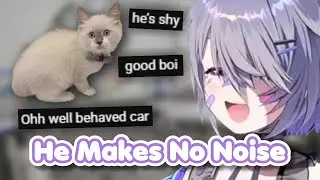 Biboo Talks About How John Cat Suddenly Becomes an Angel at the Vet