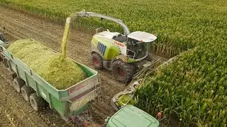 🔥 2 Sieczkarnie & 8 ciągników w Akcji !😱🔥Zbiory Kukurydzy na Wielką Skalę ! 🔥 OHZ Garzyn