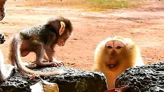 MG, BONITA TRY TO TALKING LULL POOR BABY ANYA FOR KIDNAP BUT MOM APRIL SAY NO WITH SCARE TO BONITA.