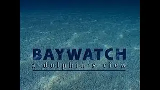 Wildlife on One - S22E10 - Baywatch A Dolphin’s View (June 15th 1995)