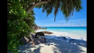 Exotic and Isolated Islands Series- 25 Cheap and Fun Things to do in The Seychelles!