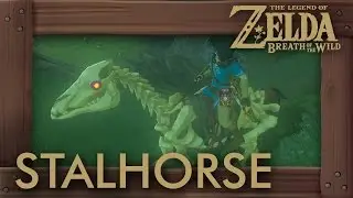 Zelda Breath of the Wild - Stalhorse Location