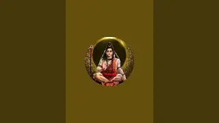 Live Tarot Reads