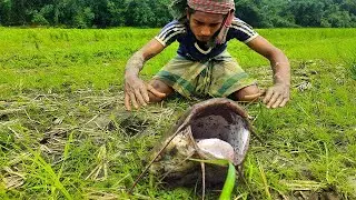Underground Big Fish Come Out & Small Fish Hole Best Fishing Video In River Banks. Fish Hunting