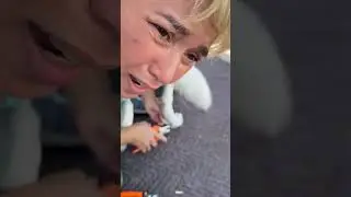 She is So So Good At BIG Aggressive Dog Nail Trimming!