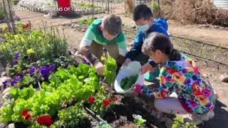 The Giving Project: Community Gardens of Tucson