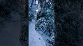 Parque nacional Conguill&iacute;o, Sendero sierra nevada📍🇨🇱