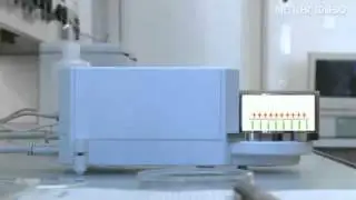 UMX2 MX5 Balance