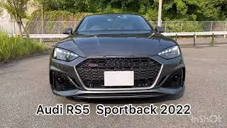 【Audi RS5 Sportback】デイトナグレー／ブラックリングス　(エクステリア)