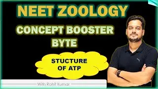 CONCEPT BOOSTER BYTE -  Structure of ATP | Class 11th Biology | NEET Zoology