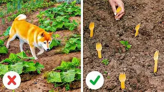 Astuces Utiles, Gadgets Et Bricolages Pour Les Propri&eacute;taires D'animaux