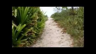 Current Swell - Young And Able