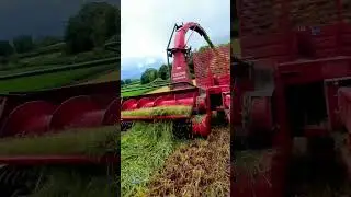 JF1050 at the wholecrop silage #arimagery #farming #agriculture