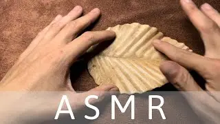 ASMR with The dry leaves (No Talking, Layered, and Looped)