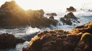 SUBTLE NATURE RELAXING MUSIC