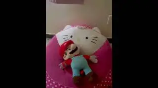 Mario can fly