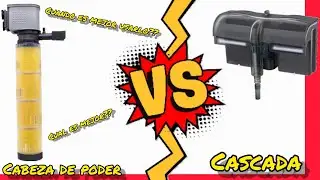 Cabeza De Poder vs Filtro De Cascada        |Power Head vs Cascade|