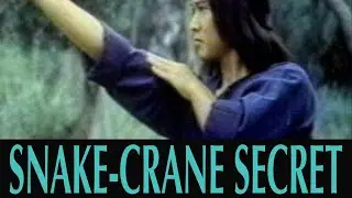 Snake-Crane Secret (1976) Martial Arts Film English Dub