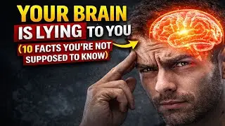 👉 Your Brain Is Lying to You (10 Facts You&rsquo;re Not Supposed to Know)