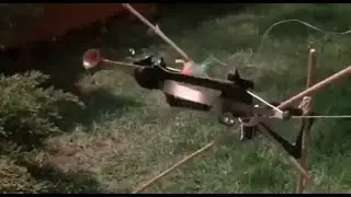 HISTK - Ron defends the backyard