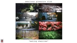 American Pleasure Club - 