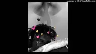 J4yDiZz1e - Dip (audio)