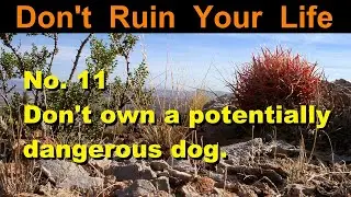 DRYL No. 11 -- Don't own a potentially dangerous dog.