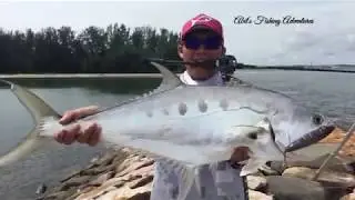 Ikan Talang (Bekalang) on Zerek Gecko