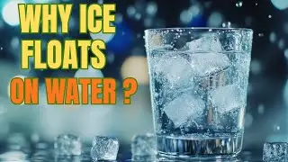 The Cosmic Role of Ice in Planetary Formation