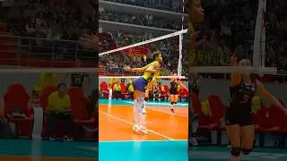 All of a Sudden I'm a Volleyball Fan!