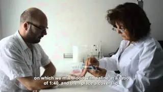 The orgone accumulator&rsquo;s effectiveness as evidenced by the Reich Blood Test