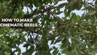 Mobile Cinematic Video | Cinematic Video using Phone #cinematic#woodworking#mobileshooting #explore