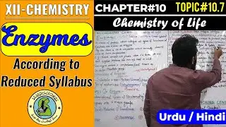 Enzymes in Urdu || Topic#10.7 || Chemistry of Life || XII-Chemistry || Sindh Board