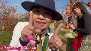 Hãy vui sống từng ngày 