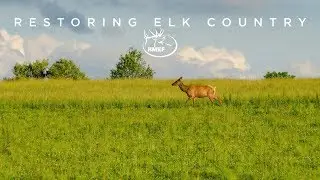 Restoring Elk Country - Contrary Run Pennsylvania