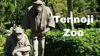 Tennoji Zoo | Osaka Japan * Dani Travel TV