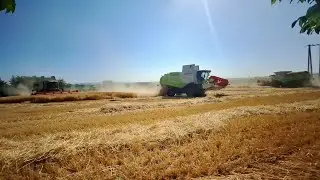 Big Team 3x Claas Lexion 6700 660 Barley Harvest 2025