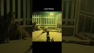 Bahria Town's Danzoo #bahriatownkarachi #zoo #danzoo #shorts #ytshorts #animals #animalshorts