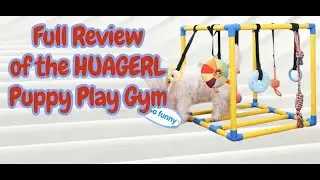 🐶 Puppy Play Gym with 8 Toys 🎾 Interactive Indoor Activity Center &bull; Busy & Enriched Puppies 🐾