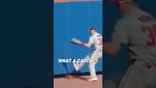 Which Jacob Young catch was better #baseball #edit #mlb