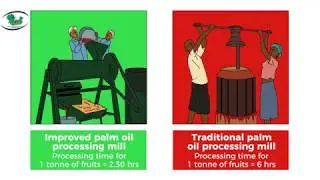 MADE revolutionizes palm oil production in Niger Delta