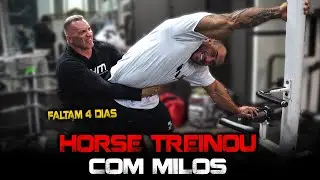 FALTAM 4 DIAS I HORSE E MILOS - TREINO HISTÓRICO
