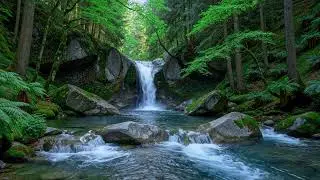 Peaceful River Soundscape 🌿 Natural Water Ambience for Meditation and Relaxation #1397