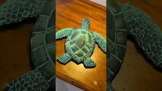🐢🥹🐢 Cardboard TURTLE for my wall 💚 DIY Craft Tutorial  #diy #cardboard #papercraft