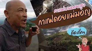 กาแฟดอยแม่มอญ