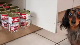 Korb Drahtkorb Anwendungen