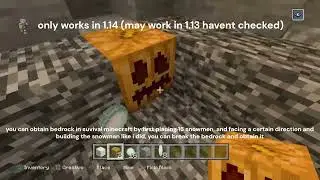 4 Minecraft Console/Legacy Edition Glitches